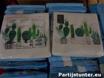 PARTIJ SERVETTEN AVANT GARDE CACTUSSEN 