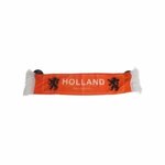 PARTIJ ORANJE HOLLAND BANNER MET ZUIGNAPPEN