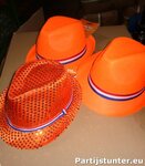 PARTIJ FEESTHOED ORANJE 