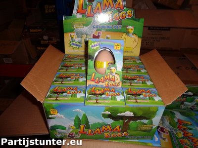 PARTIJ GROWING EGG LAMA