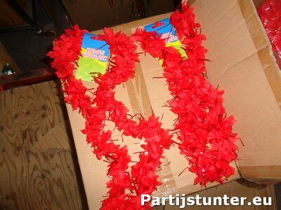 PARTIJ HAWAII SLINGERS ROOD MET GLITTER