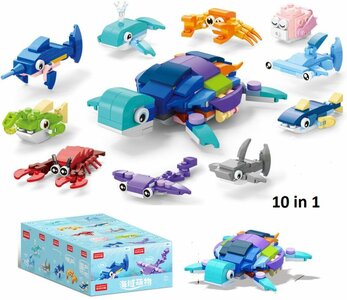 PARTIJ BOUWSTENEN SCHILDPAD IN DISPLAY