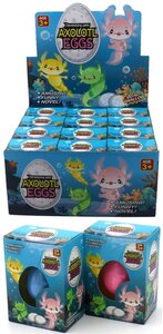 PARTIJ BROEDEIEREN VAN AXOLOTL IN DISPLAY