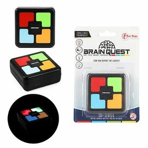 PARTIJ BRAINQUEST MEMORY GAME