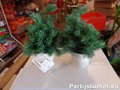 KERSTBOOM 25CM GROEN FROSTED