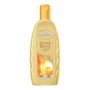 PARTIJ ANDRELON ZOMERBLOND SHAMPOO