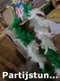 PARTIJ BOA GROEN WIT