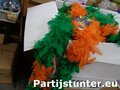 PARTIJ BOA GROEN ORANJE