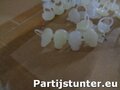 PARTIJ RINGETJE DOODSKOP 