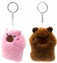 PARTIJ SLEUTELHANGER CAPIBARA 9CM 2 KLEUREN