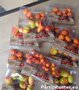 PARTIJ SET HERFSTSTEKERS MIX 