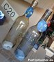 PARTIJ FLES MET 5 LEDS 31CM 
