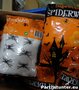 PARTIJ HALLOWEEN SPINNENWEB MET 6 SPINNEN