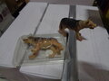 PARTIJ DEL PRADO DIEREN 