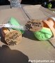 PARTIJ BEACHTOYS STRAND ZANDVORMPJES 4 PCS IN NETJE
