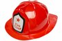 PARTIJ BRANDWEER HELM BUDGET