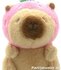 PARTIJ PLUCHE CAPIBARA MIX 22CM