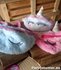 PARTIJ HEUPTASJE UNICORN ASSORTI