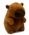 PLUCHE CAPIBARA 22CM
