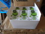 PARTIJ FART BOMB BAGS 10PCS IN BOX