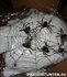 PARTIJ GROTE SPINNENWEB HALLOWEEN