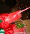 PARTIJ HOOFDBAND MISTLETOE