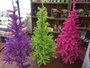 PARTIJ KERSTBOOM ROZE 150CM_8