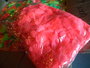 BULK ROZE HAWAIISLINGER